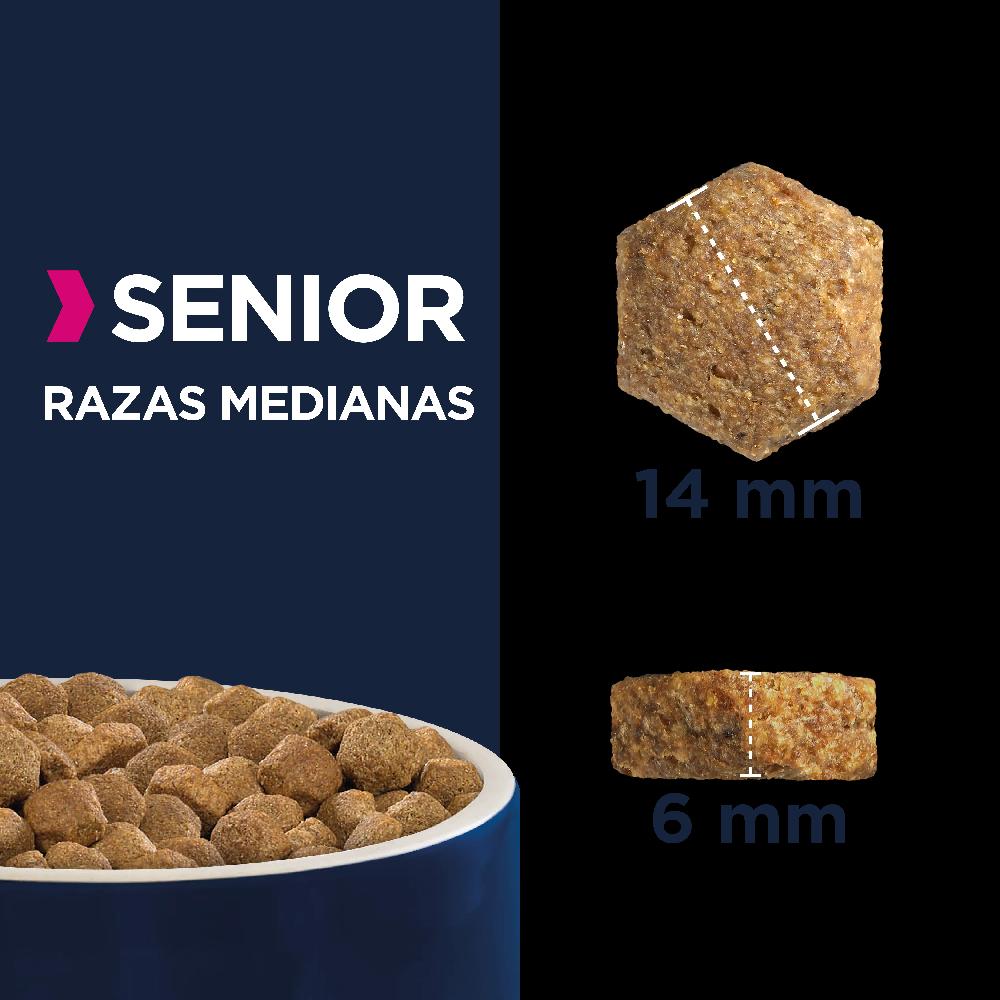 Miscota Eukanuba Senior Taglia Media