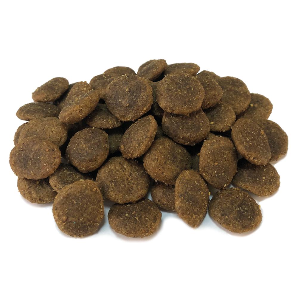 Miscota Arquivet Cibo Secco per Cani Grain Free Adult Tacchino Vendite stagionali