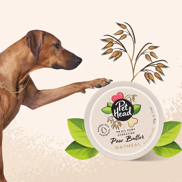 Miscota Pet Head Balsamo al cocco per zampe di cane Offerta Giorno del Papà