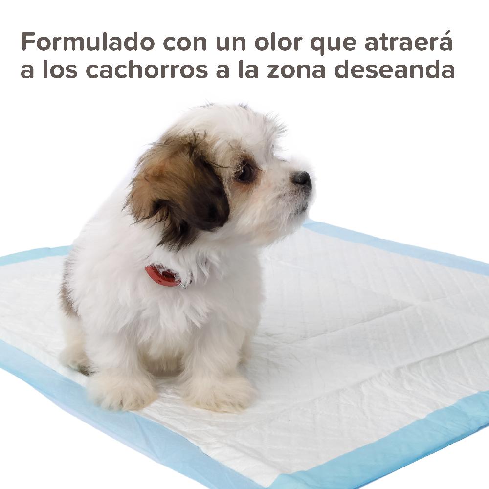 Miscota Beaphar Puppy Trainer Addestratore per Cuccioli 20 ml 2025