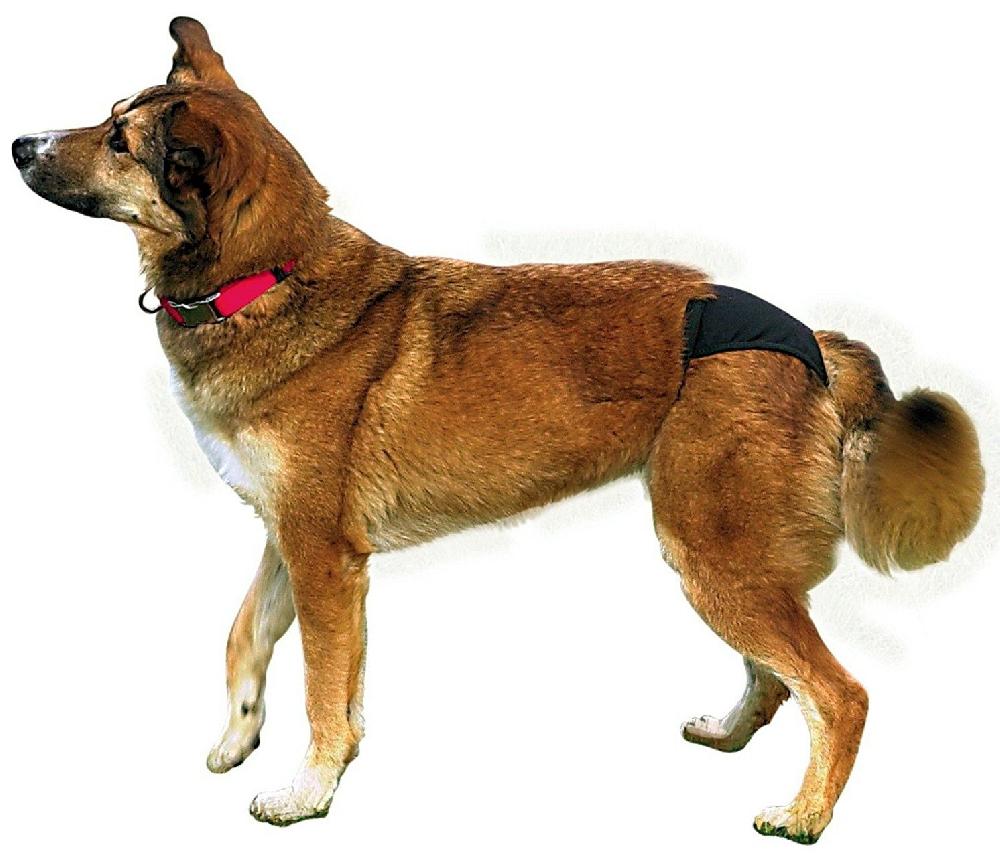 Miscota Trixie Mutandine per Cani Nere Offerta per la Festa della Mamma