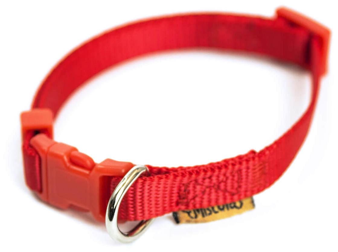 Miscota Miscota Collare di Nylon Rosso per Cani Acquista Ora