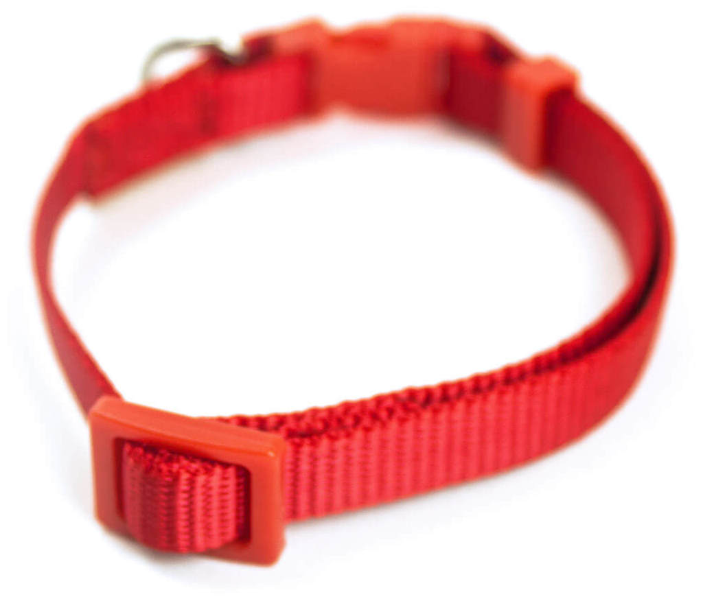 Miscota Miscota Collare di Nylon Rosso per Cani Acquista Ora