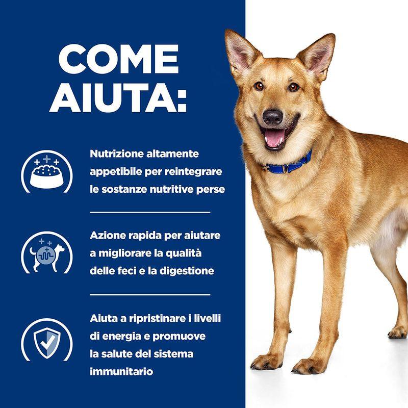 Hill's Prescription Diet i/d per Cani Negozio