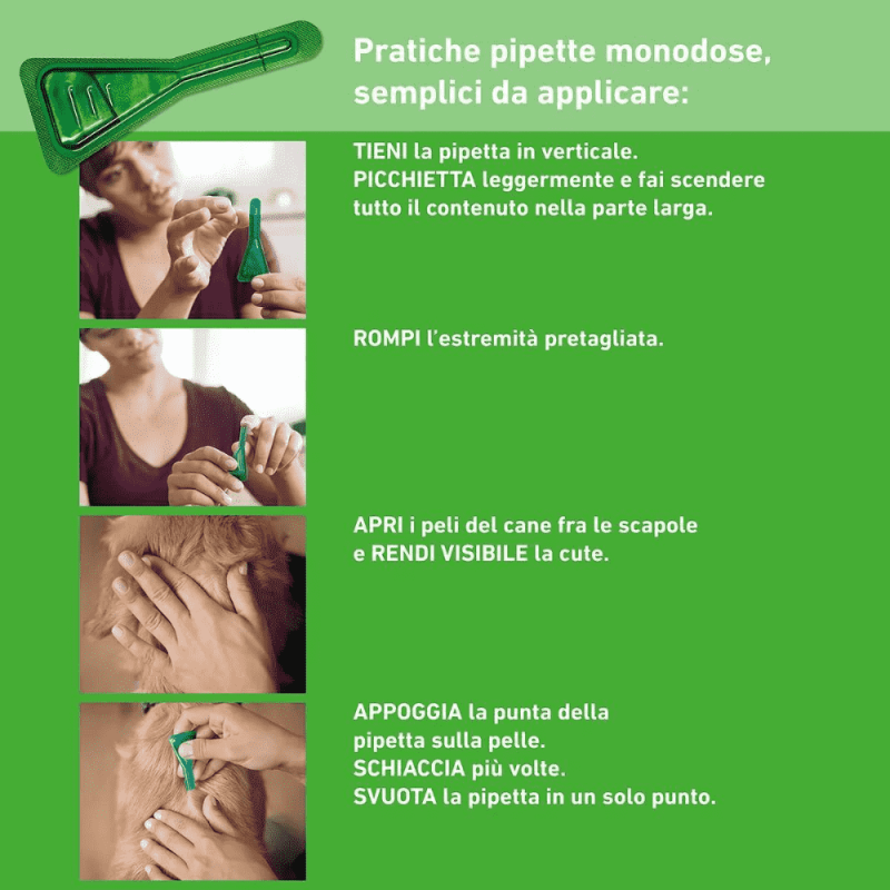 Frontline Combo Spot On per Cani Promozione Limitata
