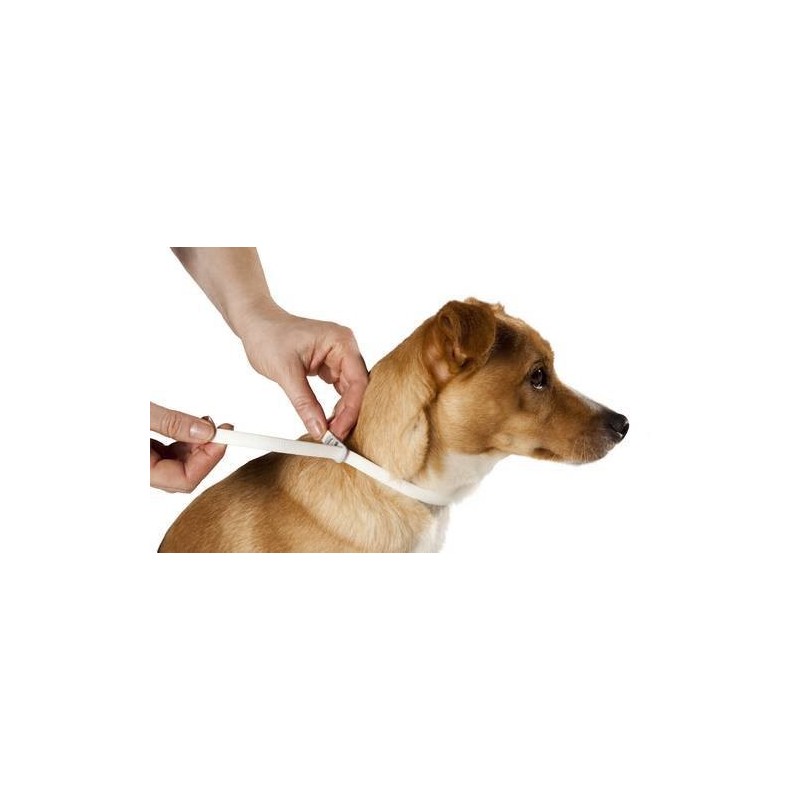 Scalibor Collare Antiparassitario per Cani Convenienza