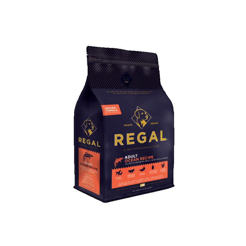Regal Ocean Recipe con Salmone per Cani 2025