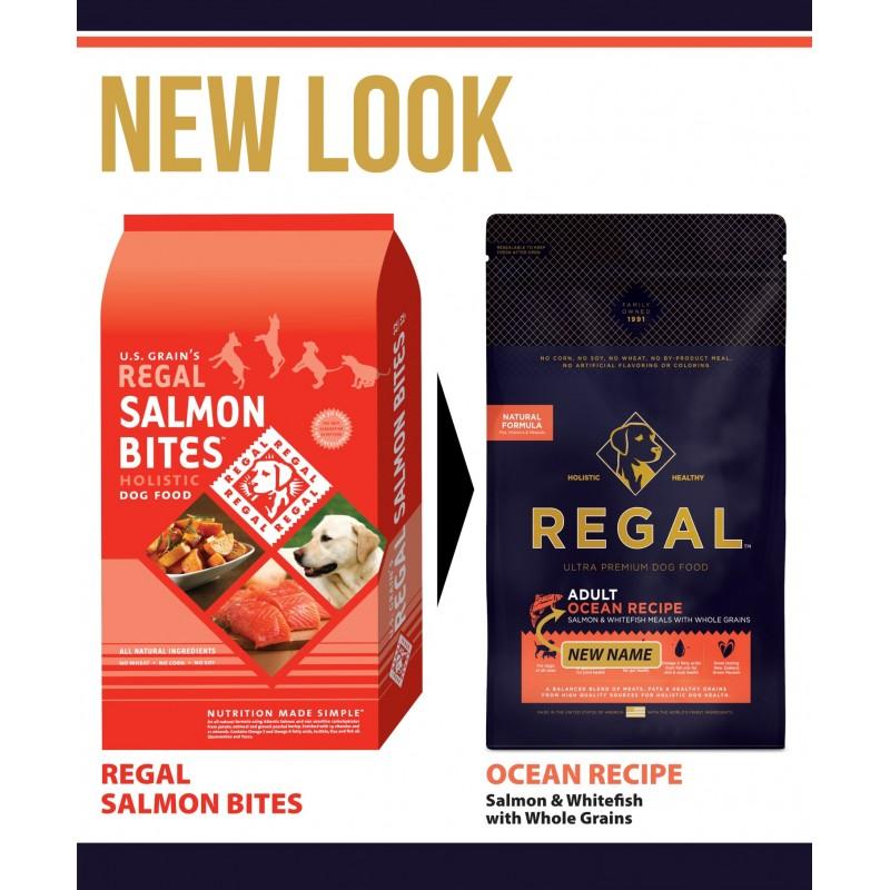 Regal Ocean Recipe con Salmone per Cani 2025