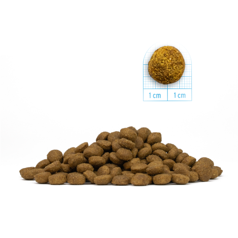 Forza10 Intestinal Colon per Gatti Convenienza
