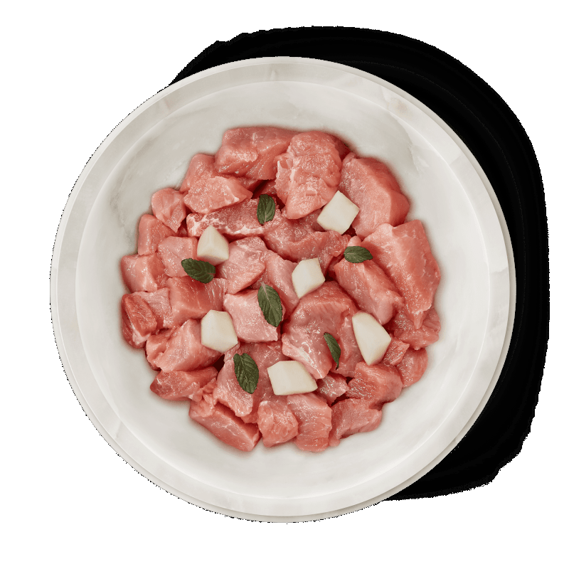 Terra Felis Cibo Umido Monoproteico per Gatti Italia