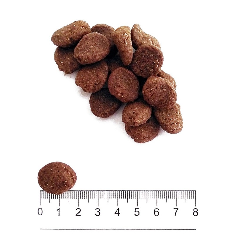 Prolife Adult Sensitive Grain Free Sogliola e Patate per Cani di Taglia Media e Grande Convenienza