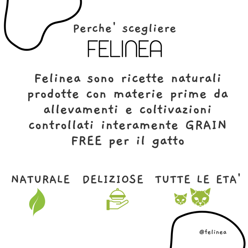 Felinea Sterilized Salmone e Pesce Bianco Grain Free per Gatti Promozione Limitata