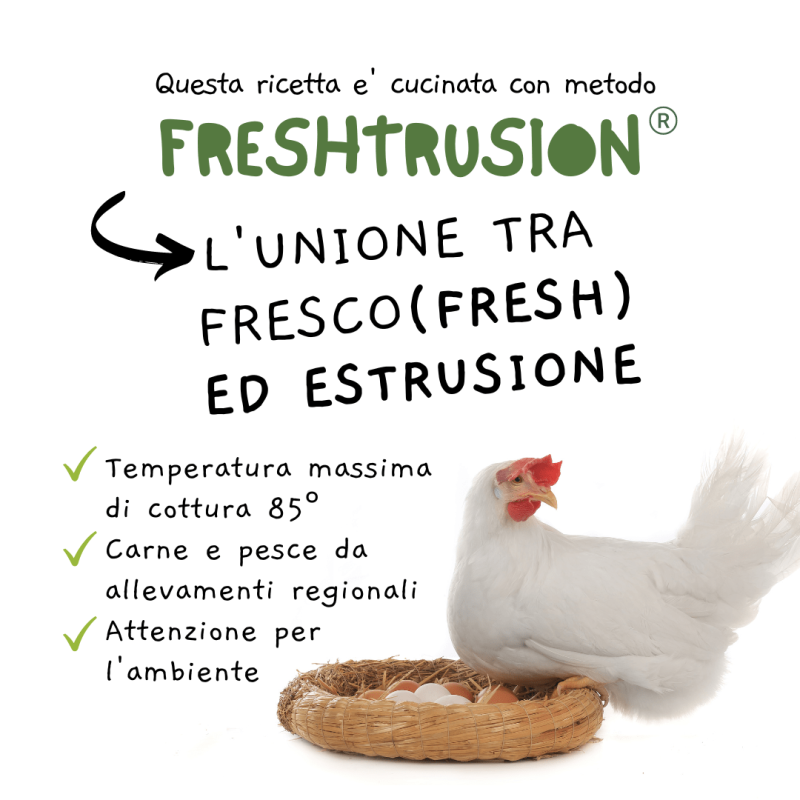 Felinea Sterilized Salmone e Pesce Bianco Grain Free per Gatti Promozione Limitata