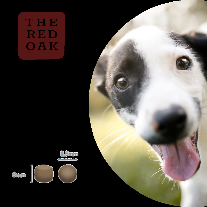 The Red Oak Puppy Pollo Tacchino e Salmone Grain Free per Cuccioli Italy