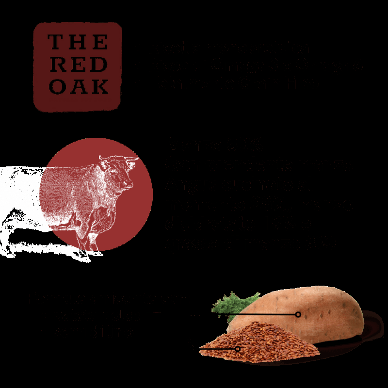 The Red Oak Manzo Angus Grain Free per Cani Italia