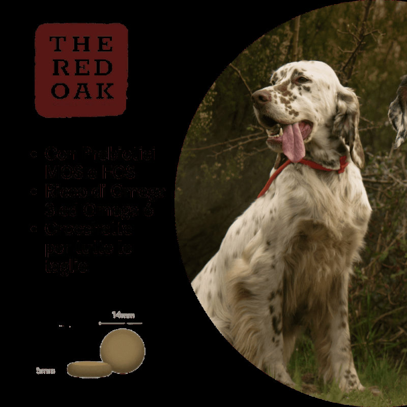 The Red Oak Manzo Angus Grain Free per Cani Italia