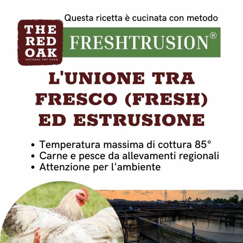 The Red Oak Manzo Angus Grain Free per Cani Italia