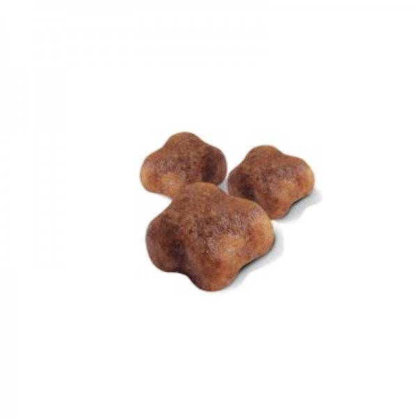 Royal Canin Mother & Babycat per Gatti Vendita Economica