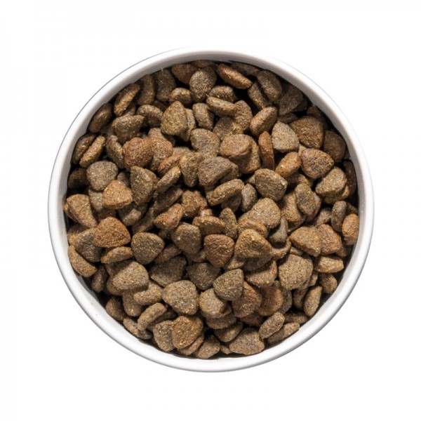 Ownat Care Dog Mobility per Cani Soddisfazione Garantita