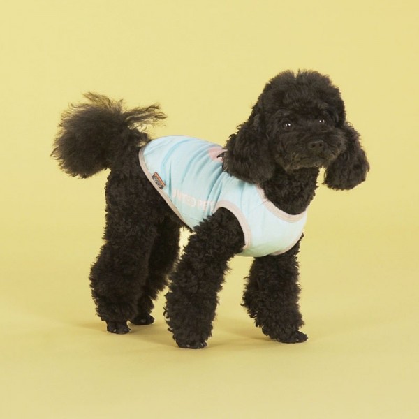 United Pets T-Dog Azzurro Maglietta per Cani Novità