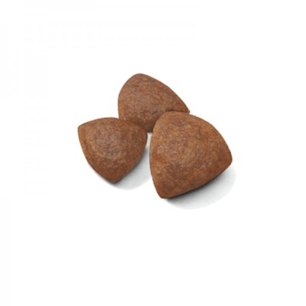 Royal Canin Medium Starter Mother and Babydog per Cani Offerte