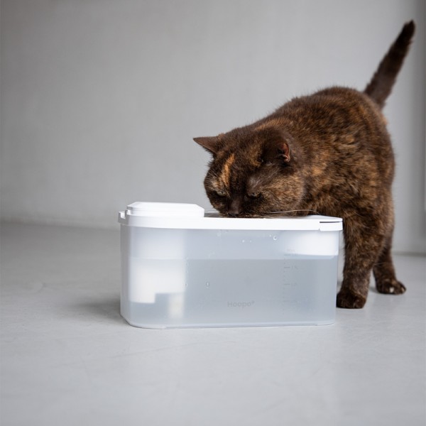 Hoopo Hydr Fontana per Gatti Promozione