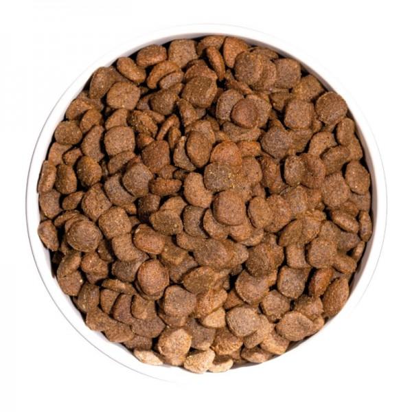 Ownat Dog Just Grain Free Anatra per Cani Offerte speciali