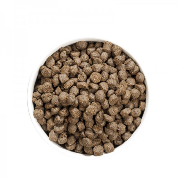 Ownat Dog Prime Grain Free Pesce Azzurro per Cani Offerte