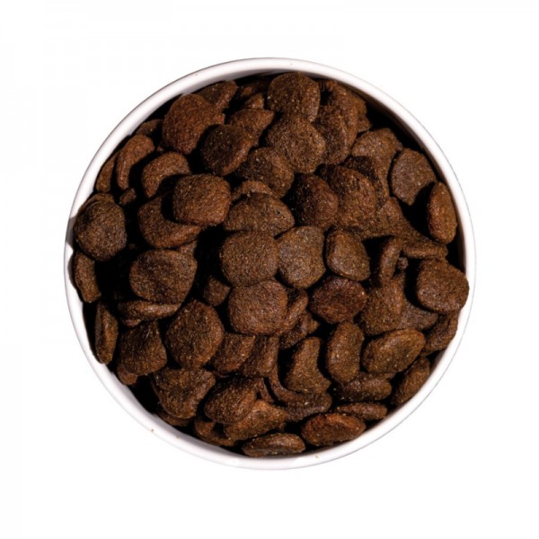 Ownat Dog Hypoallergenic Grain Free Adult Agnello per Cani Hotsell