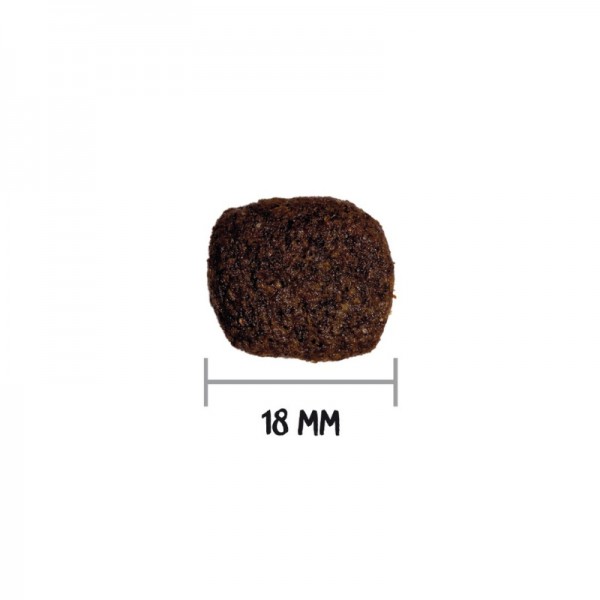 Ownat Dog Hypoallergenic Grain Free Adult Agnello per Cani Hotsell