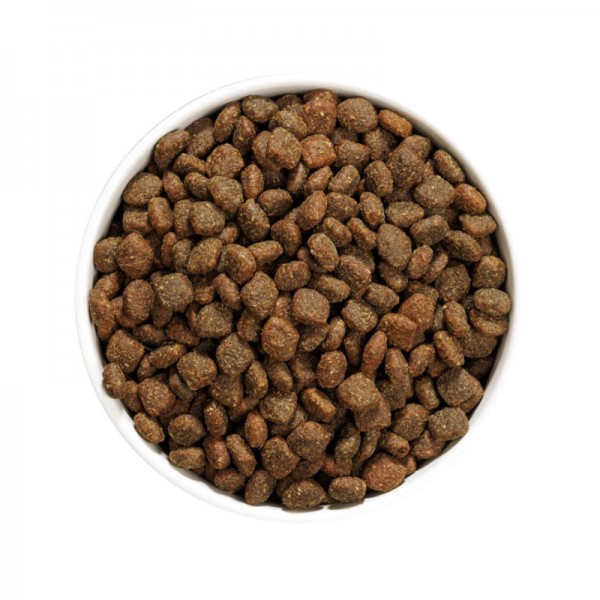 Ownat Dog Author Grain Free Adult Galletto Fresco per Cani Vendita Economica