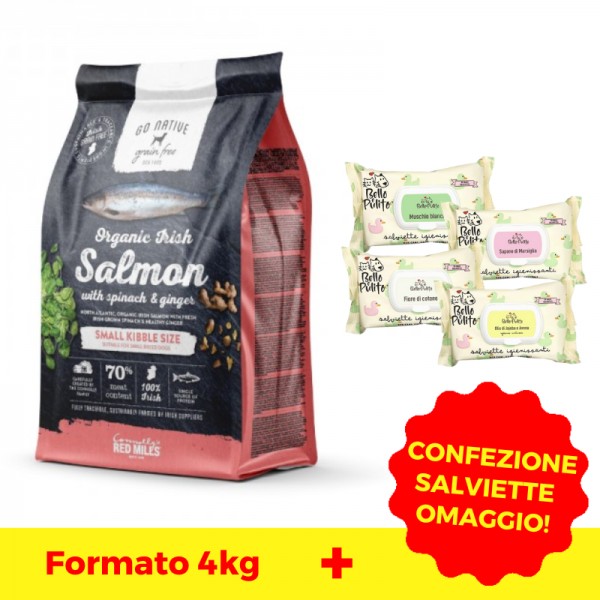 Go Native Small Breeds Salmone Biologico Spinaci e Zenzero Online Outlet
