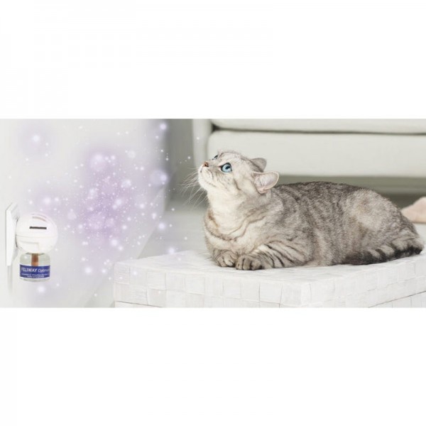 Feliway Optimum Diffusore + Ricarica 48 ml Esporta salva