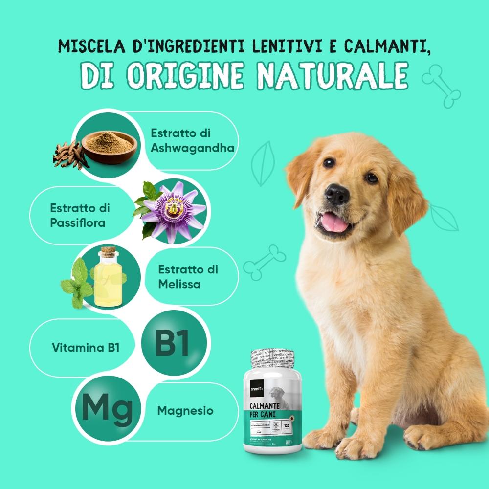 Animigo Formula per Cani Vendite Flash