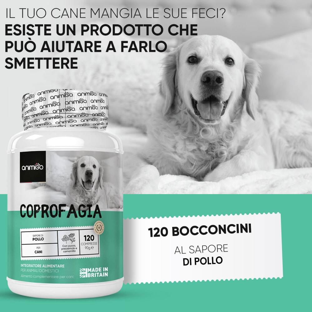 Animigo Coprofagia Cani Negozio