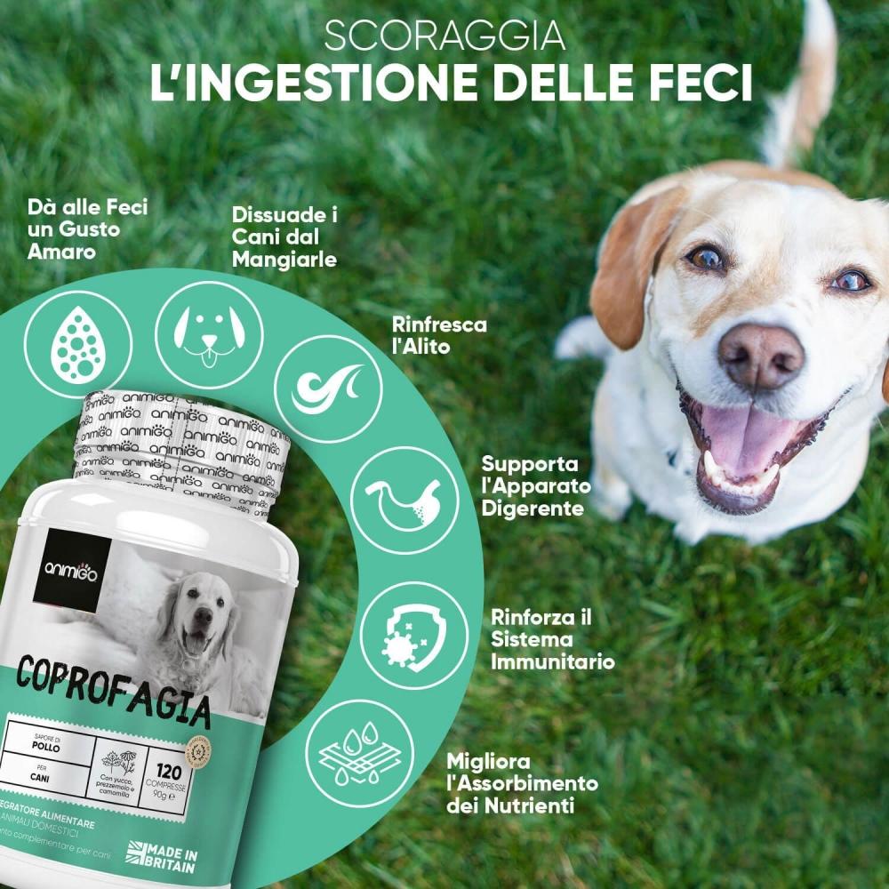 Animigo Coprofagia Cani Negozio