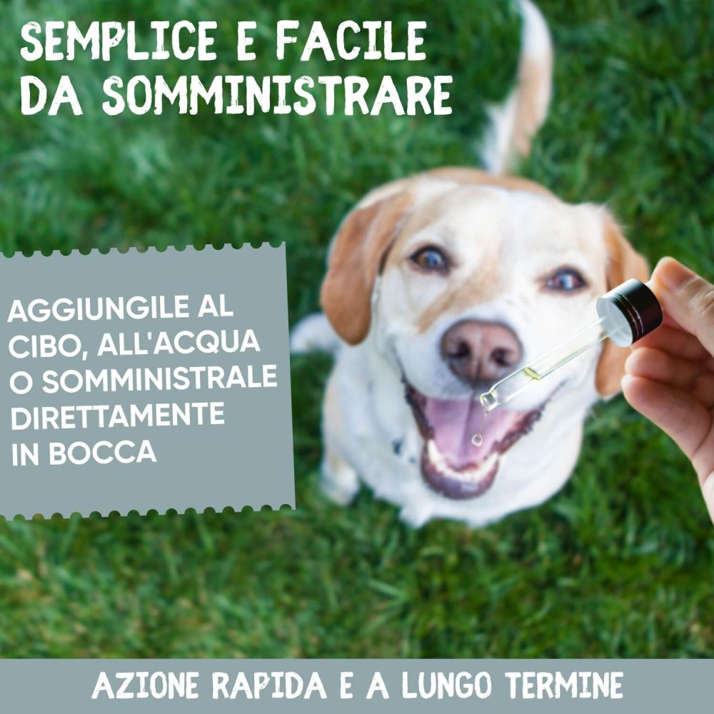 Animigo Animigo Vermifugo Gatti e Cani in Gocce In Saldo