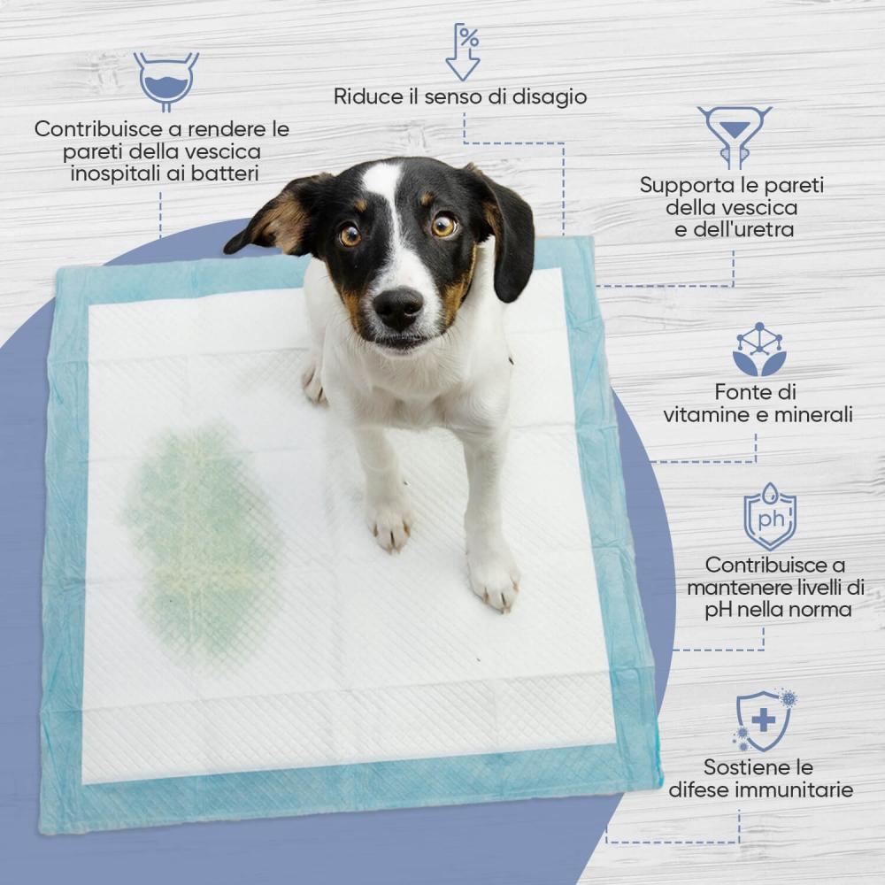 Animigo Formula per Cani Moda