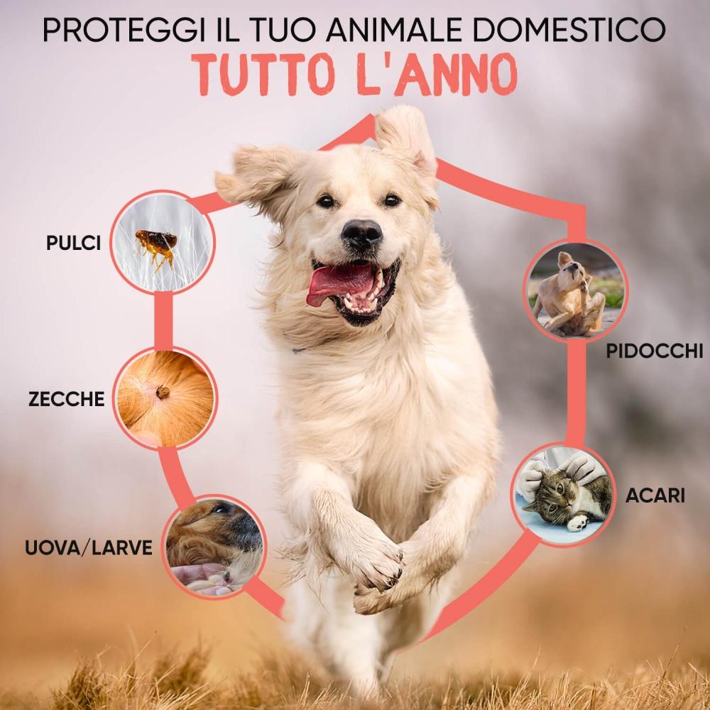 Animigo Polvere Antipulci Vendita