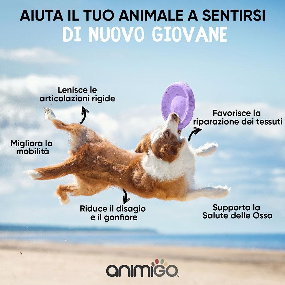 Animigo Animigo Anche e Articolazioni Spedizione Gratuita