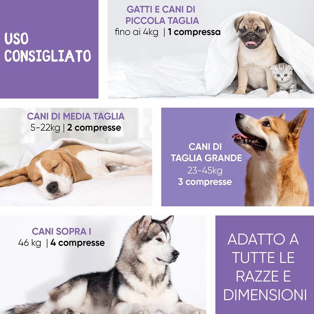 Animigo Animigo Anche e Articolazioni Spedizione Gratuita