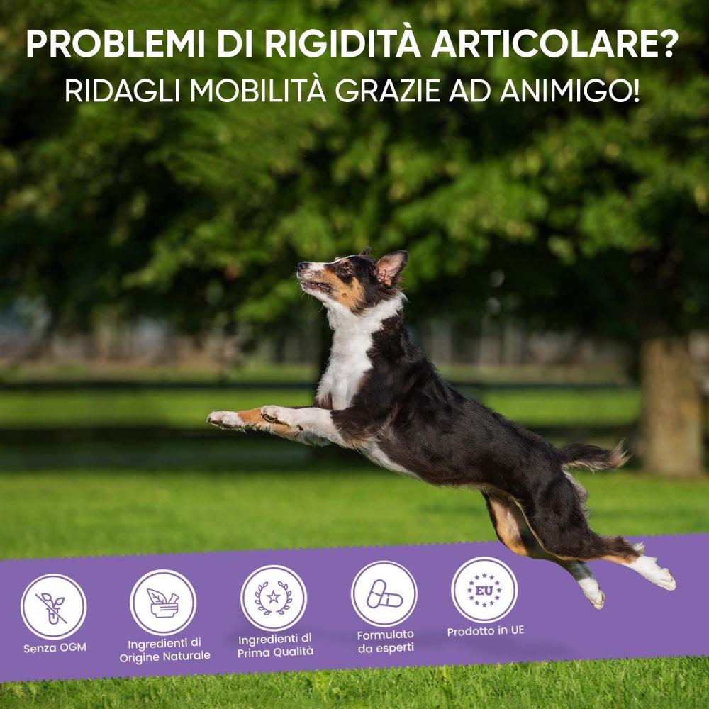 Animigo Glucosamina e Condroitina Pezzi Unici