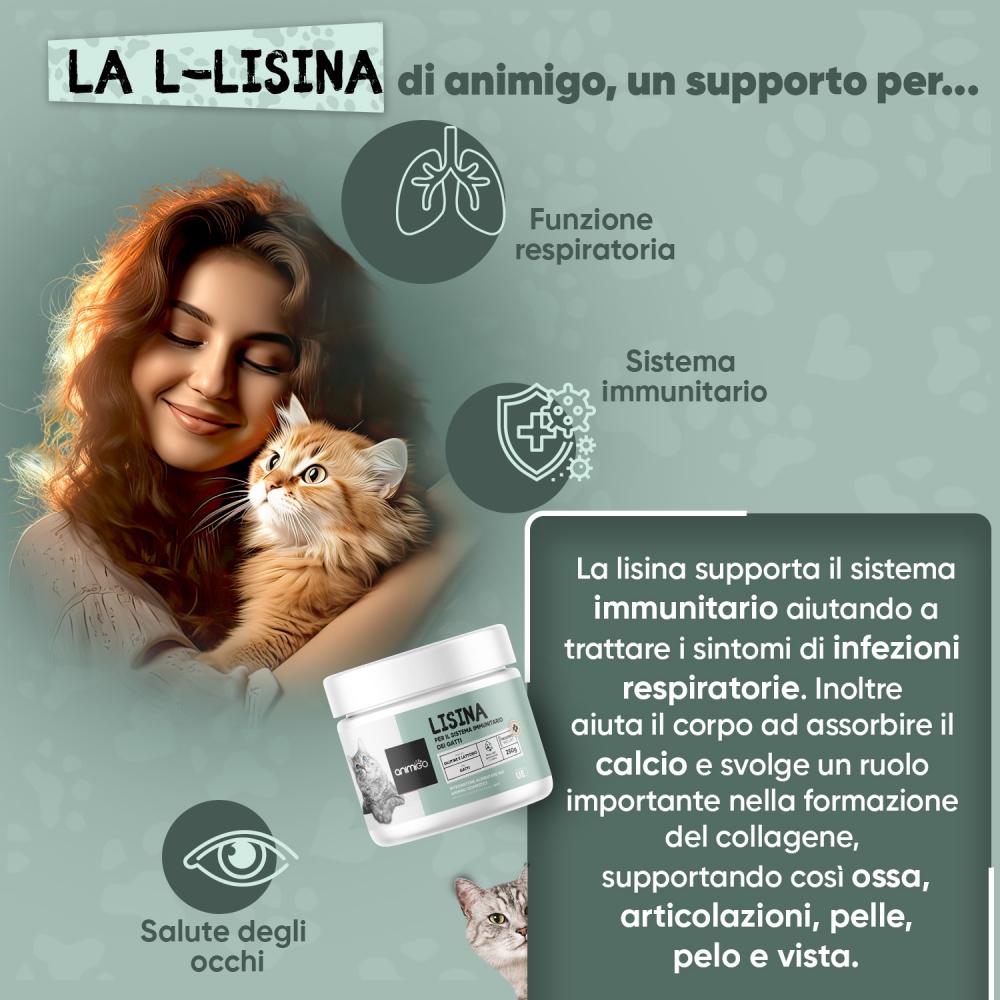 Animigo L-Lisina Polvere Consegna Veloce