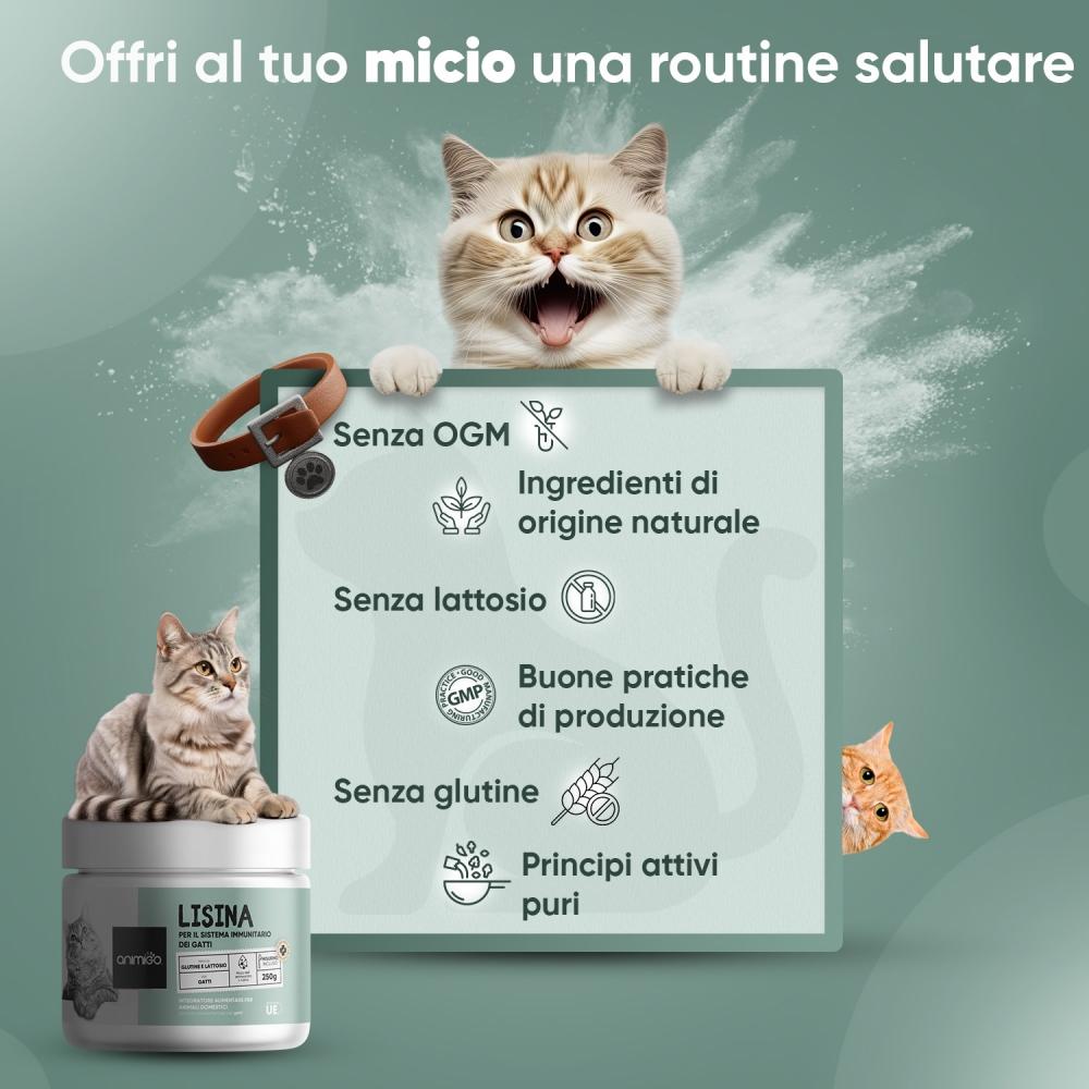 Animigo L-Lisina Polvere Consegna Veloce