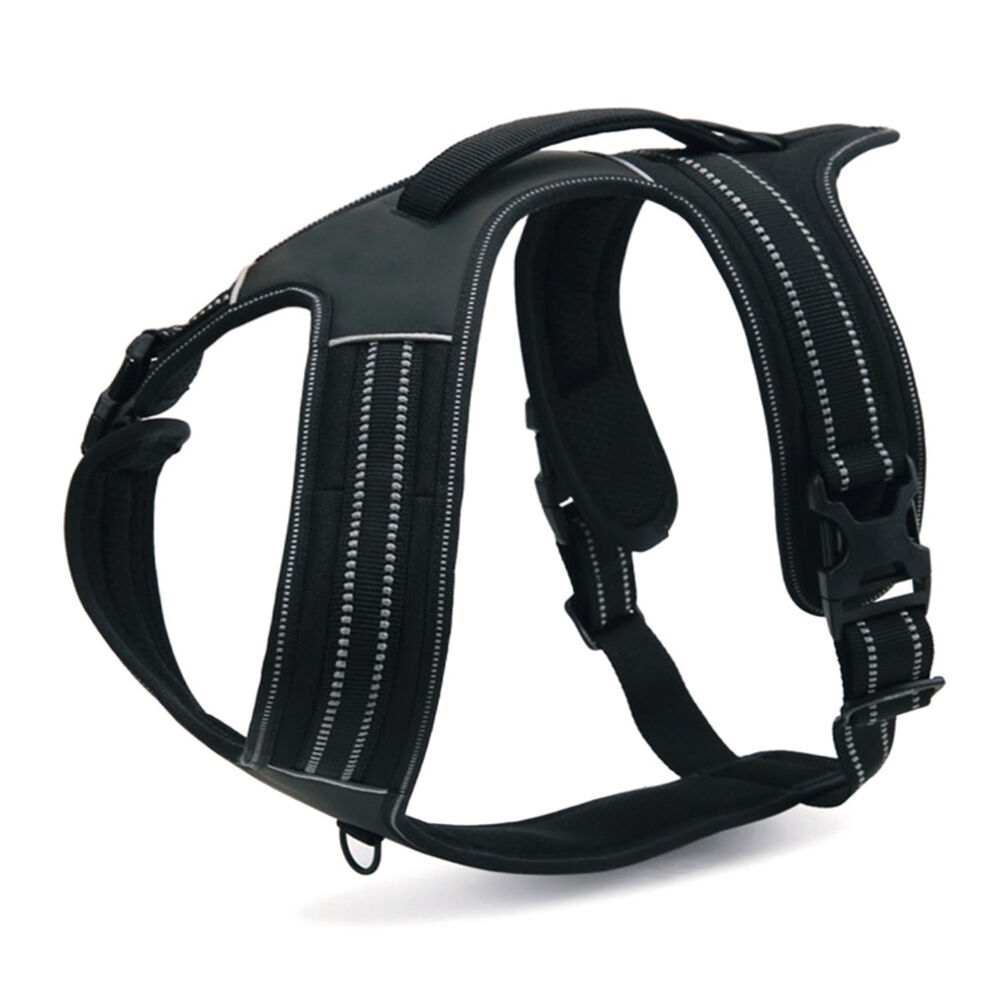 PetUp Pettorina Sport L 70x95 cm Nero 000151080