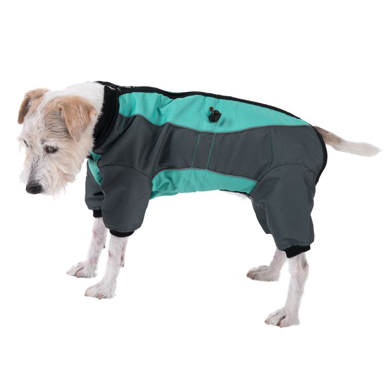 Bitiba Tuta per cani Menta Vendite Flash