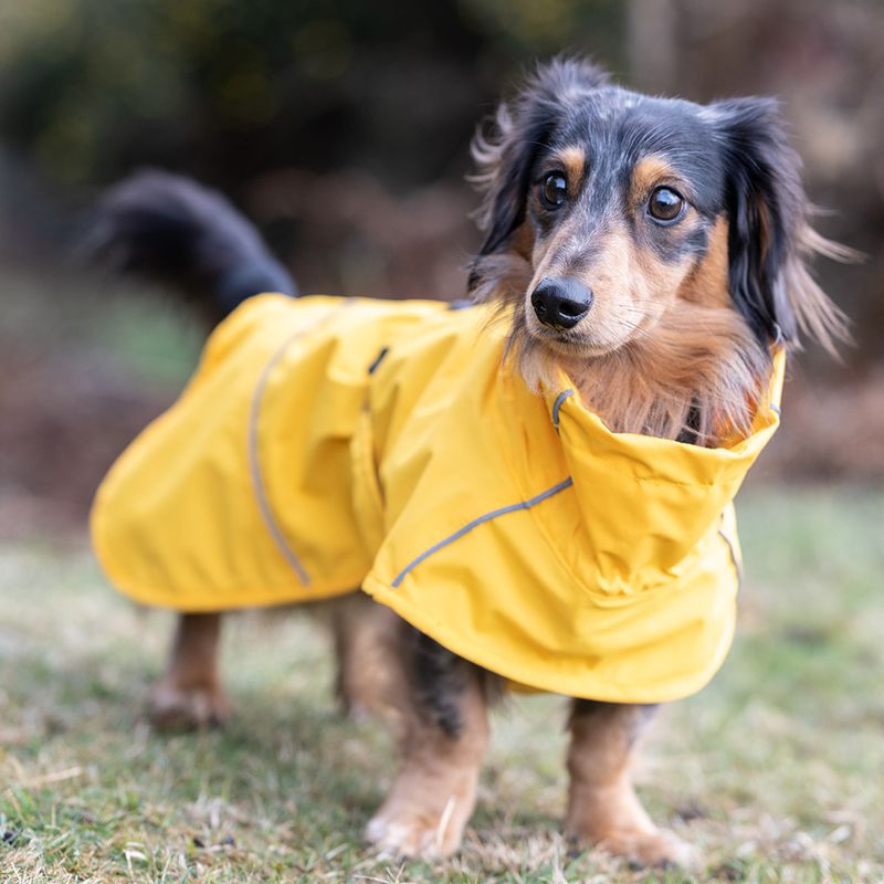 Bitiba Impermeabile per cani Rukka® Hayton Eco giallo 2025