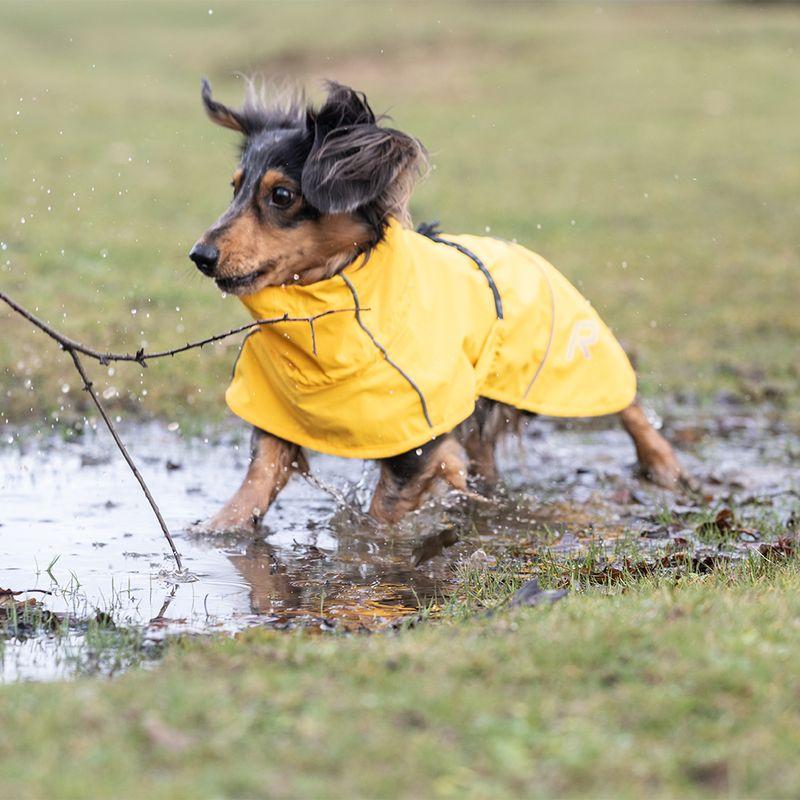 Bitiba Impermeabile per cani Rukka® Hayton Eco giallo 2025