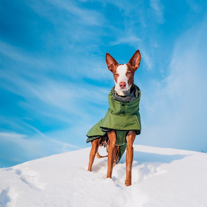 Bitiba Rukka® Warmup Cappotto per cani verde oliva Spedizione Gratuita
