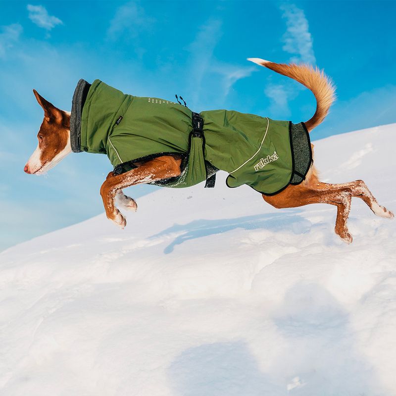 Bitiba Rukka® Warmup Cappotto per cani verde oliva Spedizione Gratuita
